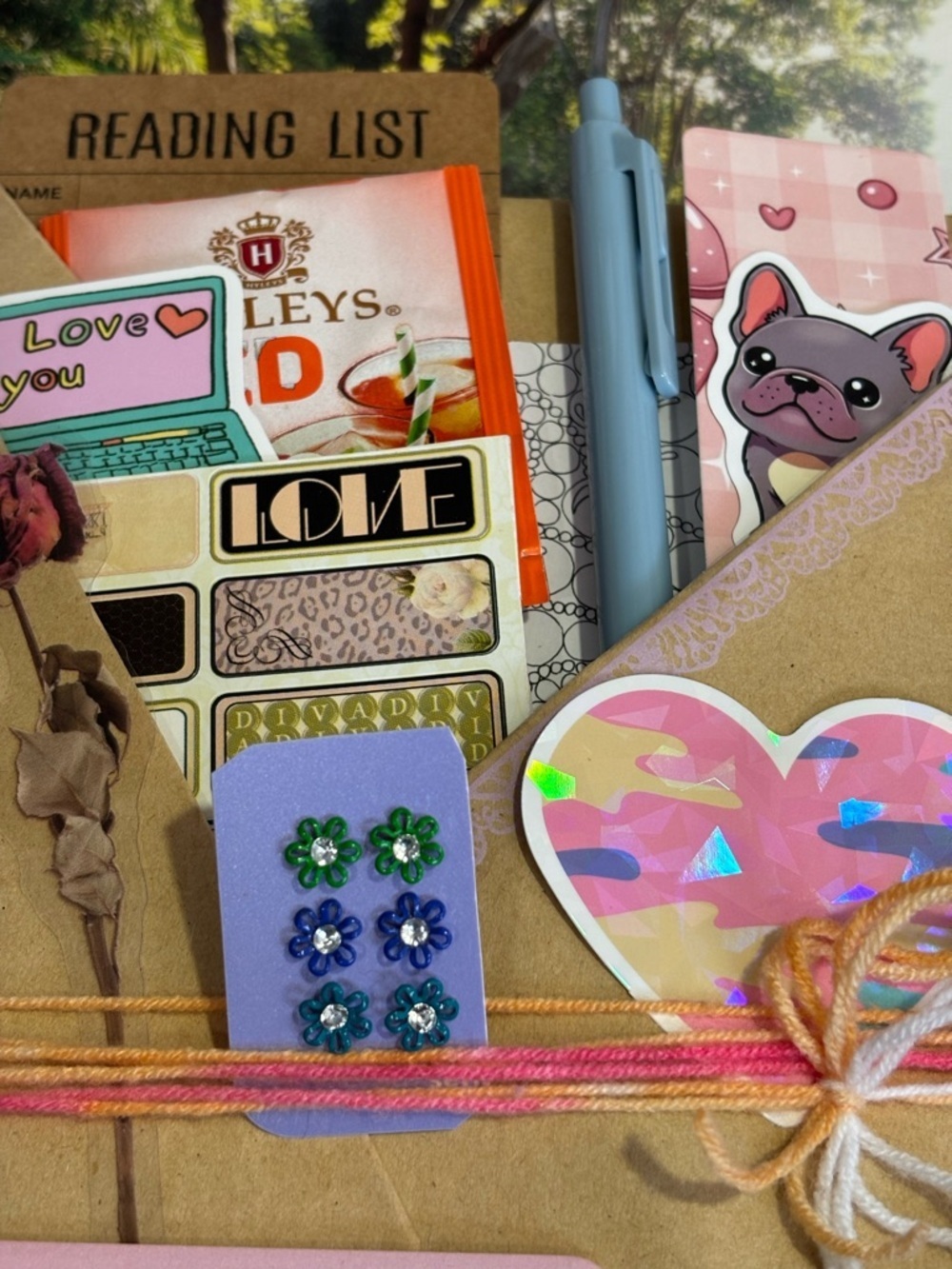 Gift Blind book Young Girls fiction book for 10/13 years old - Picture 4 of 7